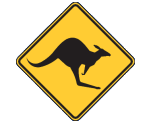 Wyndham Skippycoin ICG