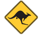 Wyndham Skippycoin ICG Wyndham Skippycoin ICG